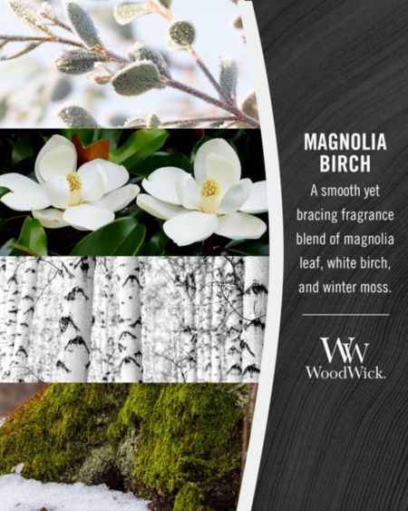 Magnolia Birch - Ellipse | Wood Wick